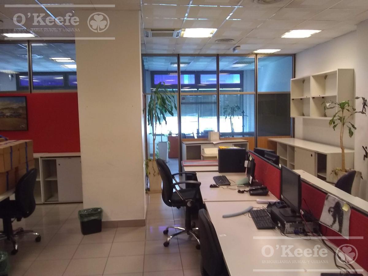 Foto de VENTA Y ALQUILER EDIFCIO DE OFICINAS ZONA SAN TELMO - CABA - 3.354 M2, imagen 4