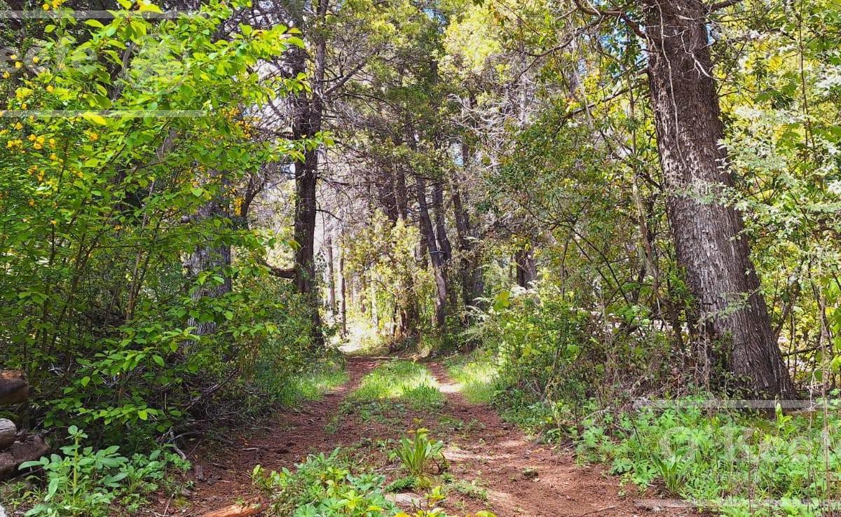 3 Lotes en Venta en Km18 Campanario, Bariloche. 1
