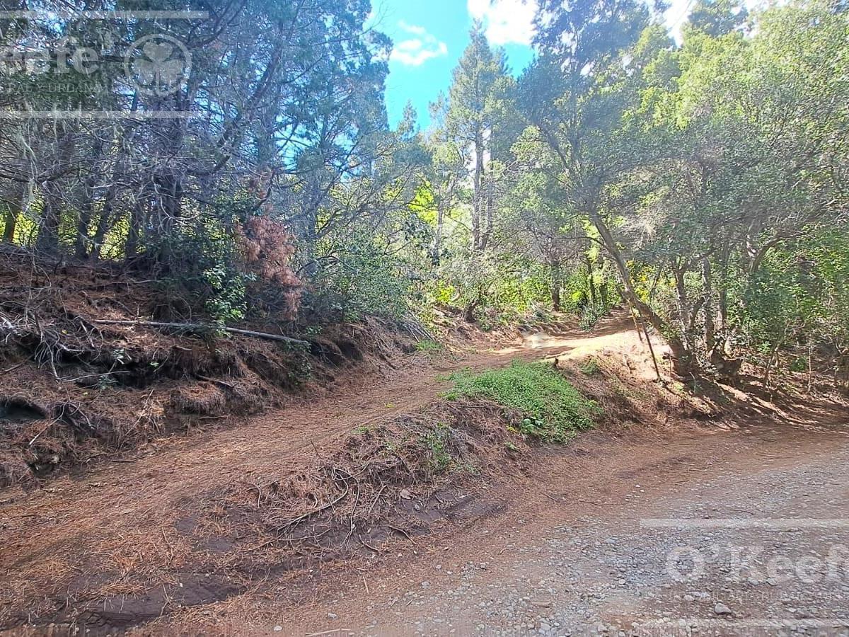 3 Lotes en Venta en Km18 Campanario, Bariloche. 3
