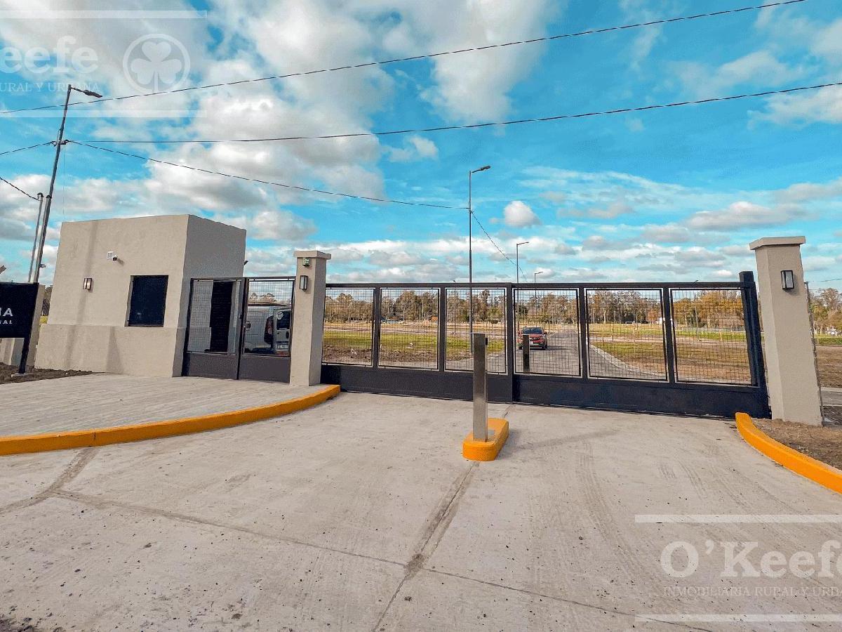 Lotes en Venta en el Pato,  Berazategui. La Vikkina