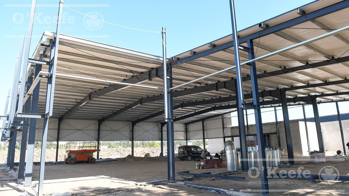 Lote en Venta en Puerto Nizuc - Oportunidad de Inversión en Guillermo Hudson 3