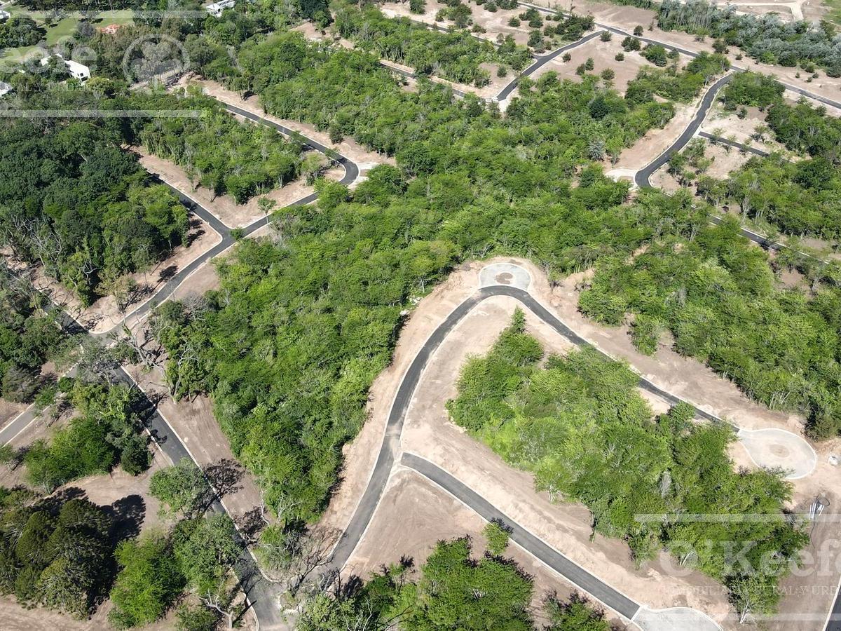 Terreno en Reserva Fincas - Guillermo E Hudson 3