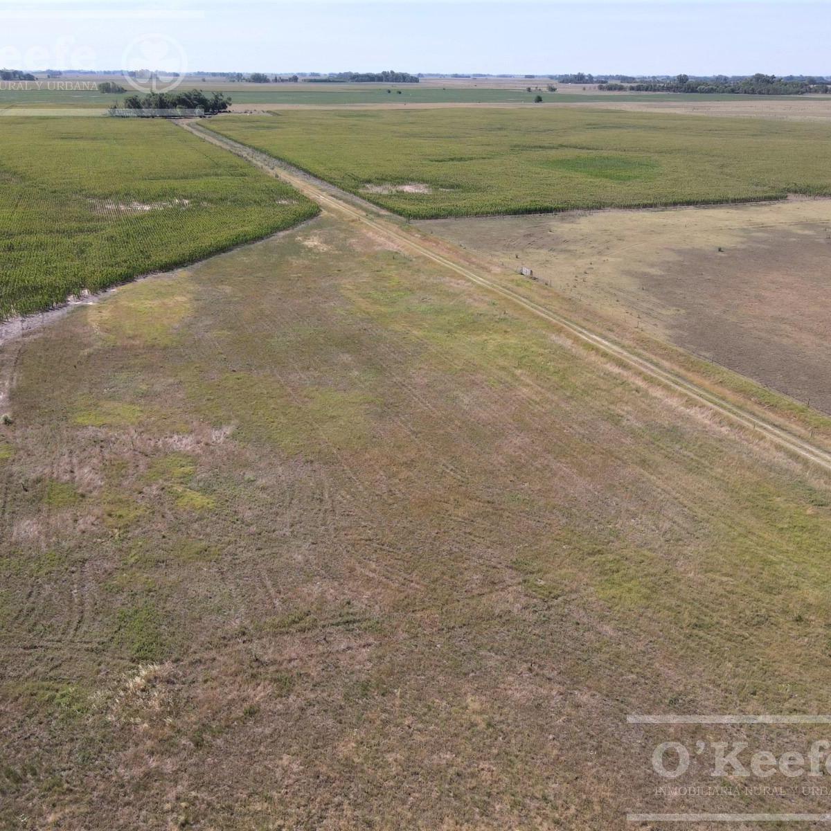 Campo en Venta Mixto de 246 Has en Saladillo 5