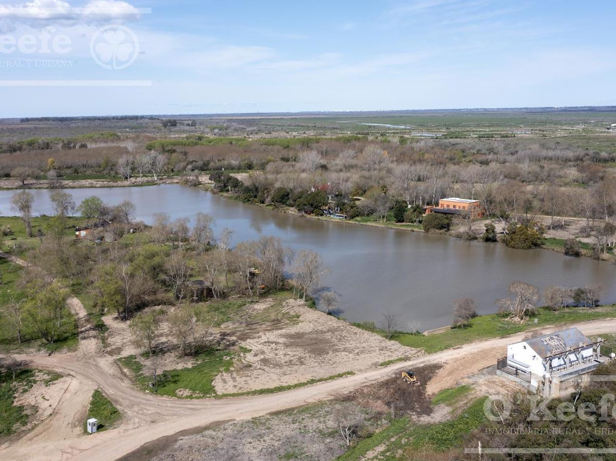 Lote en Venta en Puerto Nizuc - Oportunidad de Inversión en Guillermo Hudson 4