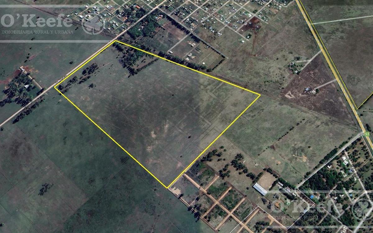 Chacra en Venta 39 Has Florencio Varela 3