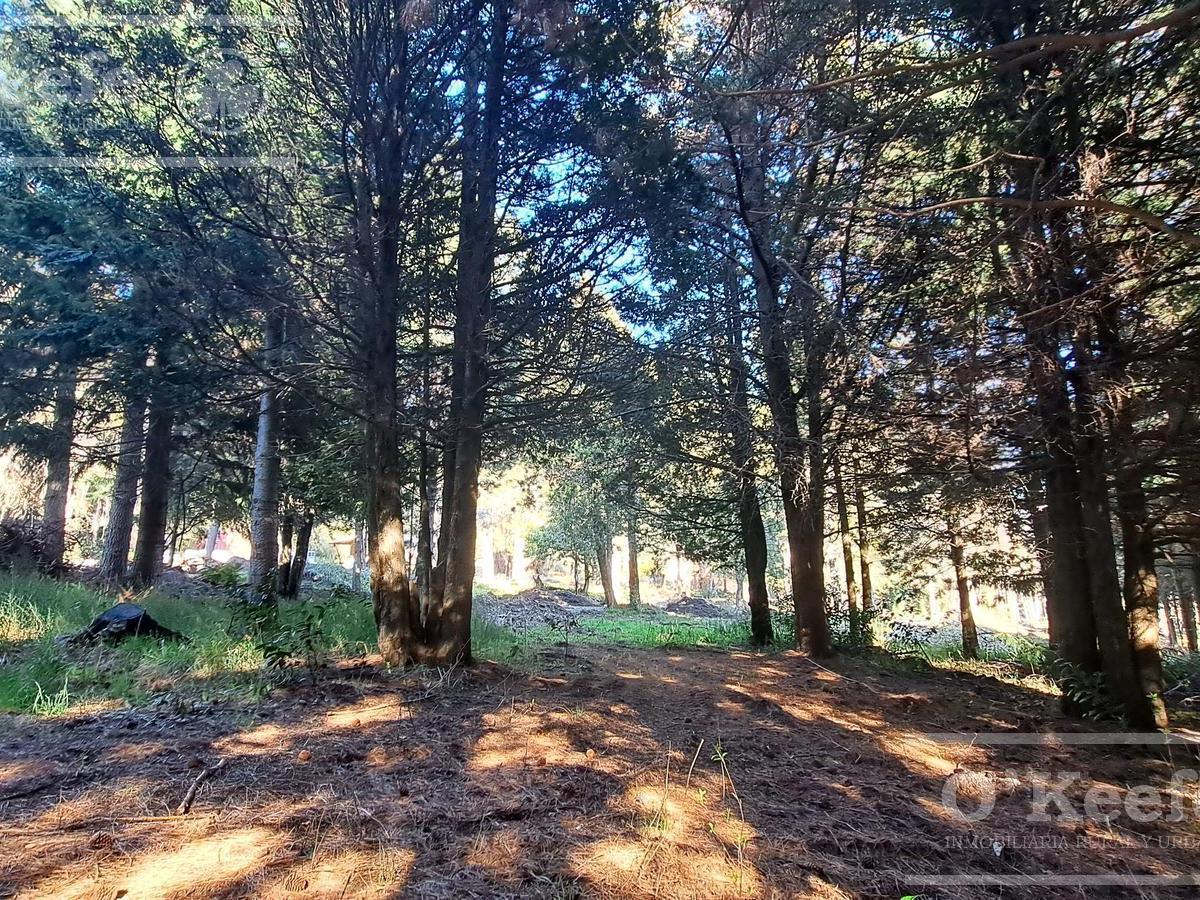 Foto de Terreno en Venta en Barrio El Estribo a 1 km del centro de Bariloche, imagen 3
