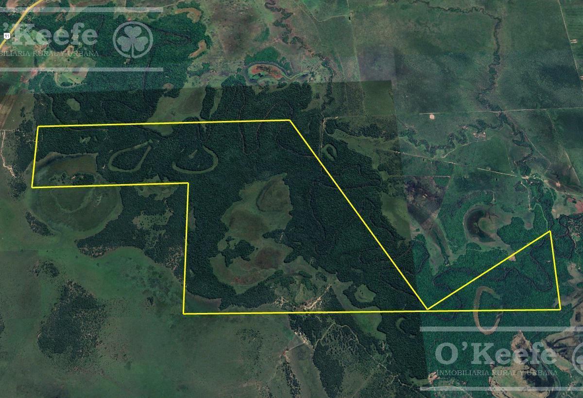 Foto de Campo en venta de 1150 has en Formosa. Cerca de Ruta Nac. 11, imagen 5