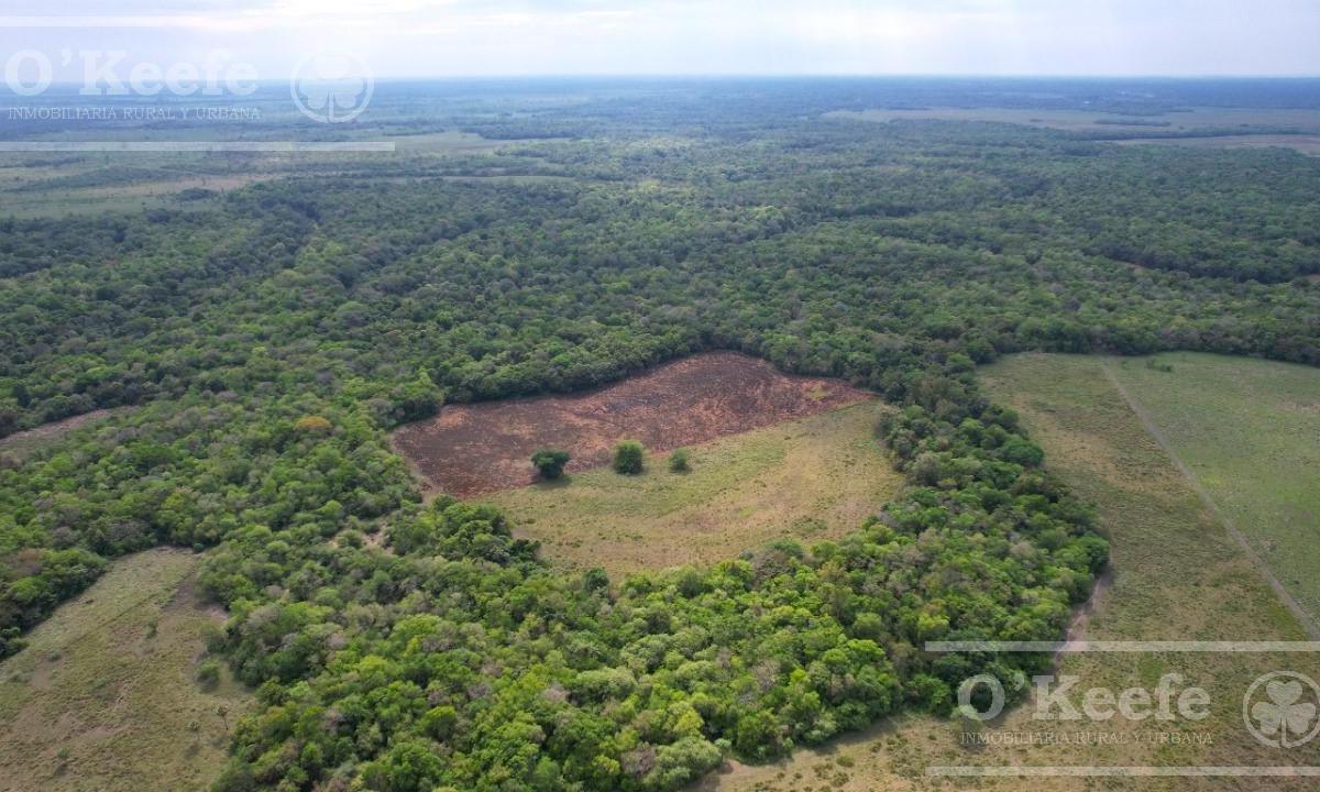 Campo en venta de 1150 has en Formosa. Cerca de Ruta Nac. 11