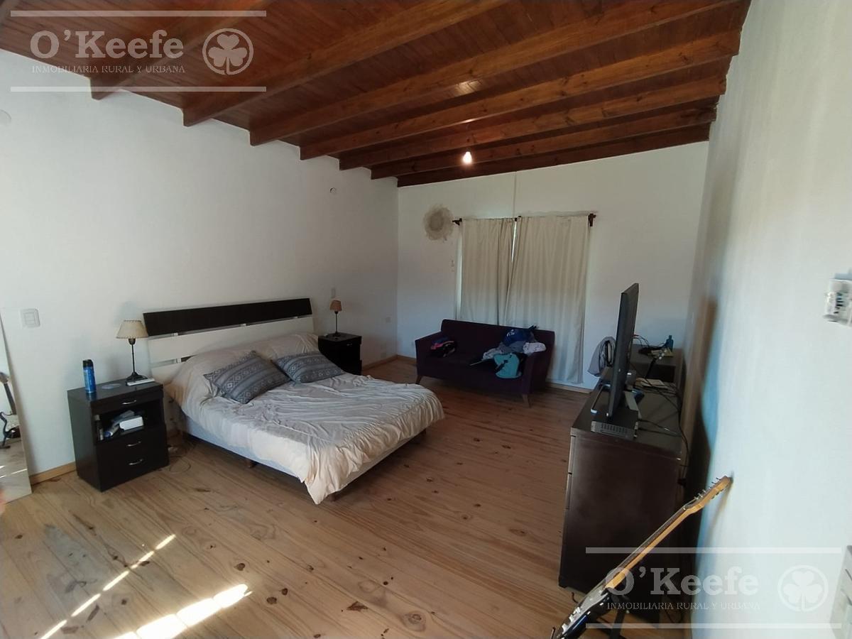 Foto de QUINTA EN VENTA - 6000 MTS CON PILETA EN ABASTO, imagen 3