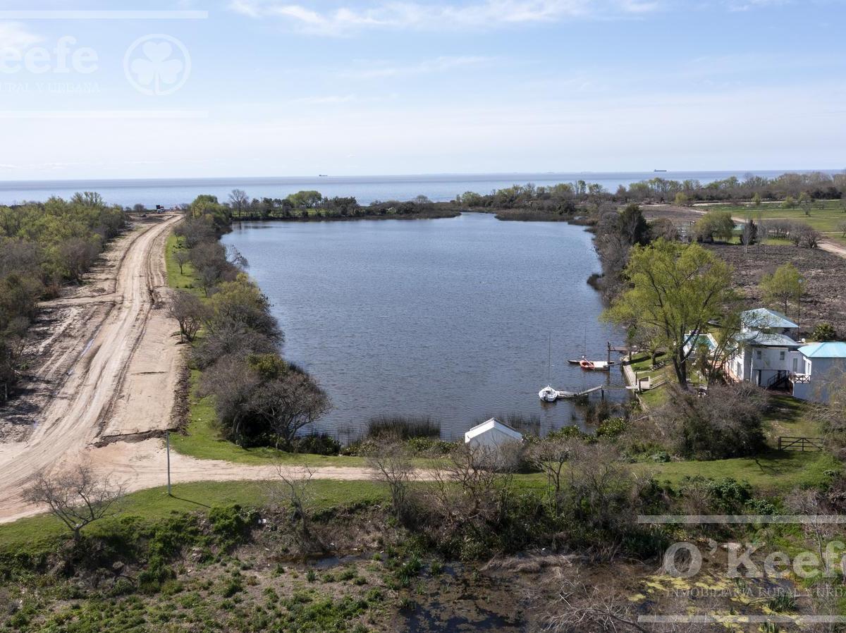 Lote en Venta en Puerto Nizuc - Oportunidad de Inversión en Guillermo Hudson 4