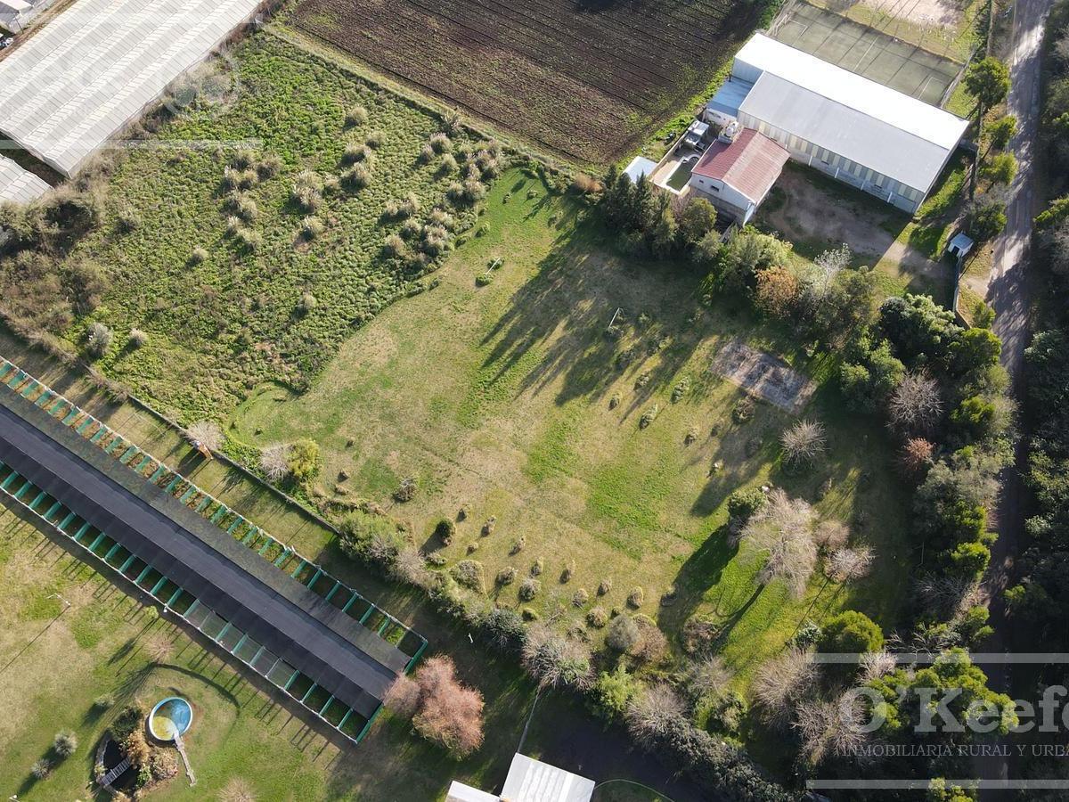 Foto de Terreno en abasto de 11900 m2 con fácil acceso, oportunidad unica!, imagen 5