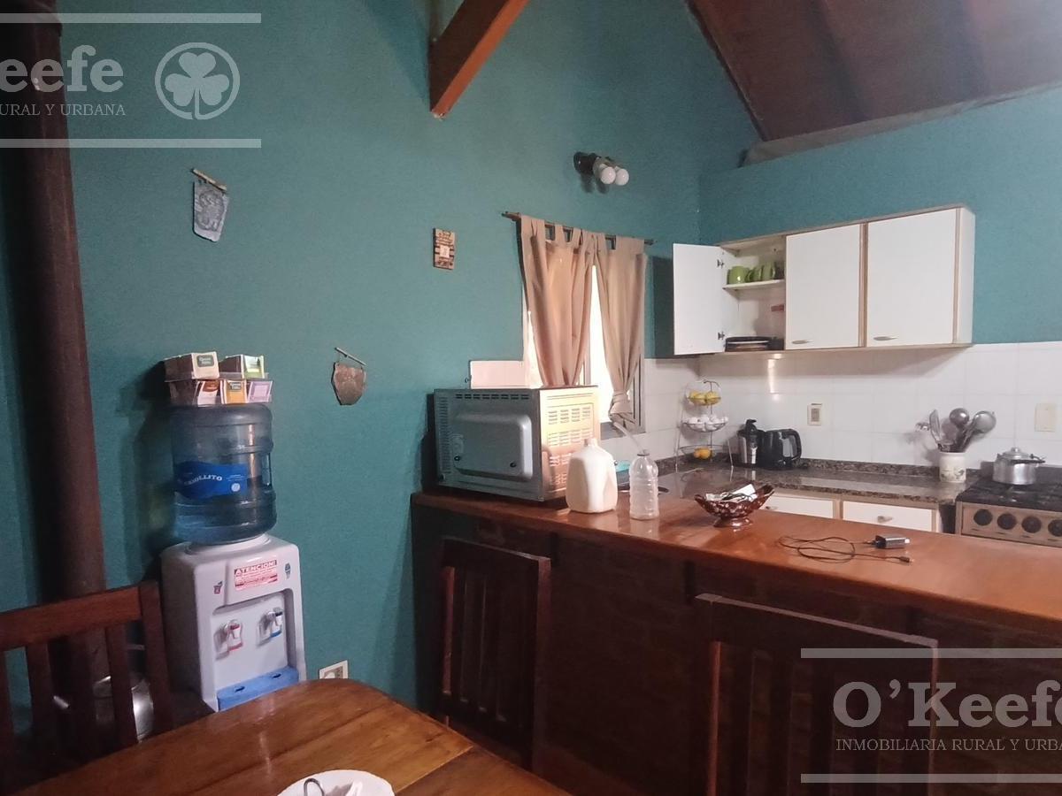 Foto de Casa en venta -Abasto, La Plata 1000 m2 con escritura, imagen 3