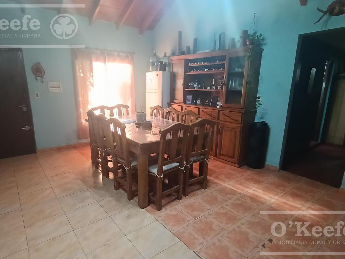 Foto de Casa en venta -Abasto, La Plata 1000 m2 con escritura, imagen 4