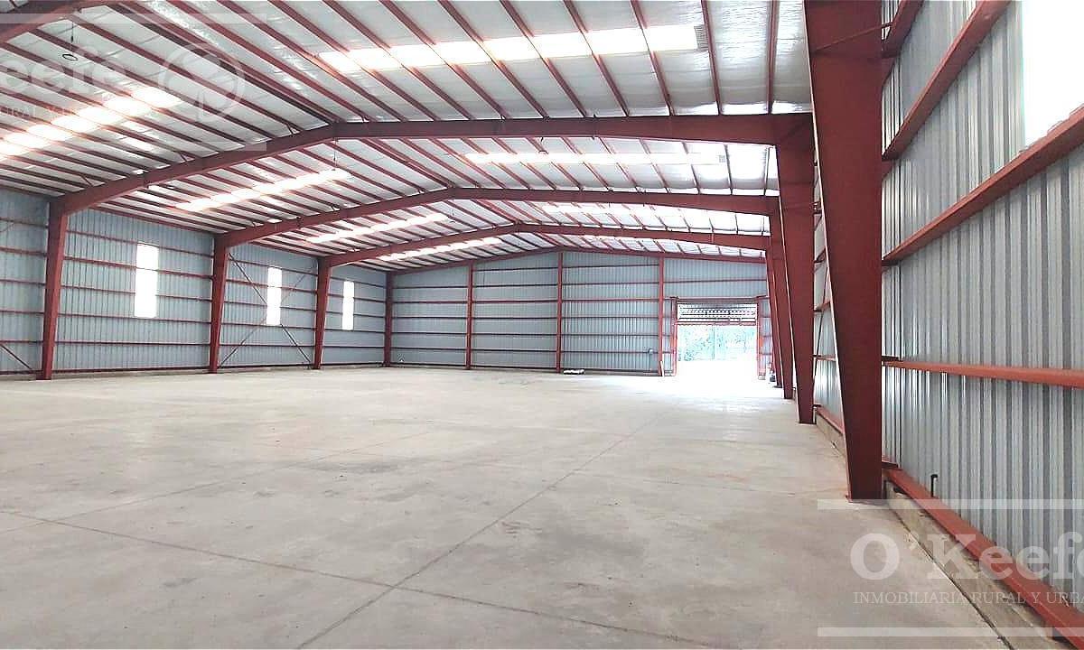 Alquiler Galpón a Estrenar de 1200 m² en Parque Industrial Platanos 4