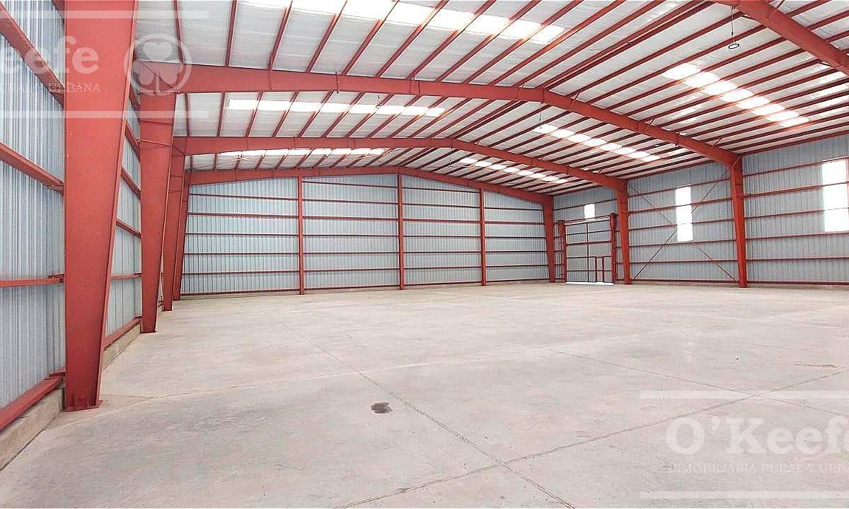 Foto de ALQUILER GALPÓN A ESTRENAR DE 1200 M2 EN PARQUE INDUSTRIAL PLATANOS, imagen 4
