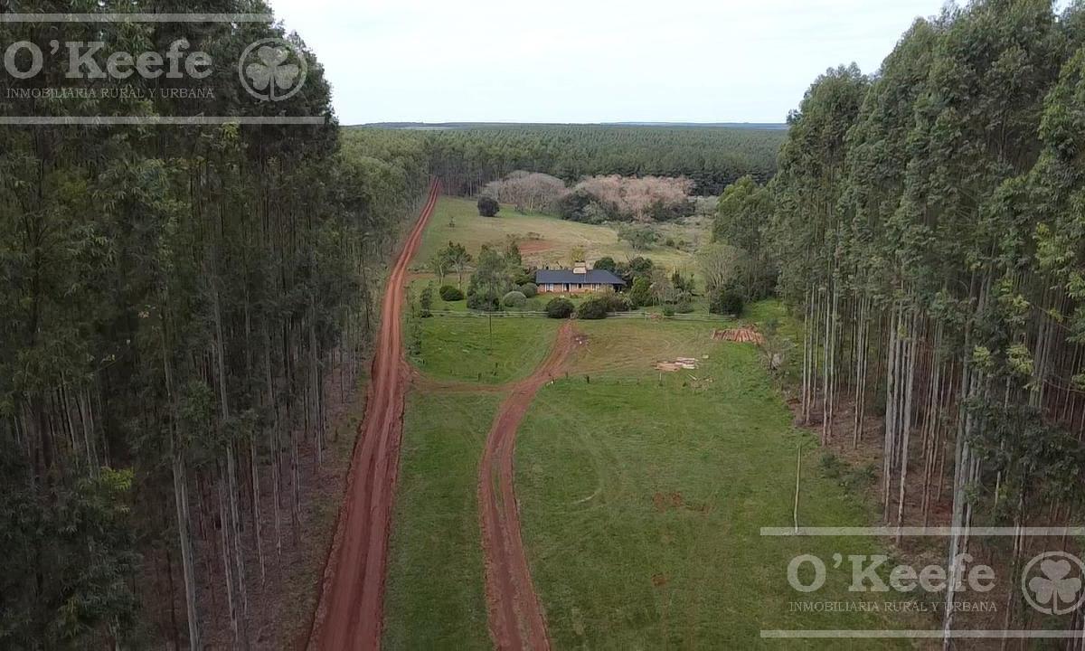 Propiedad en Argentina