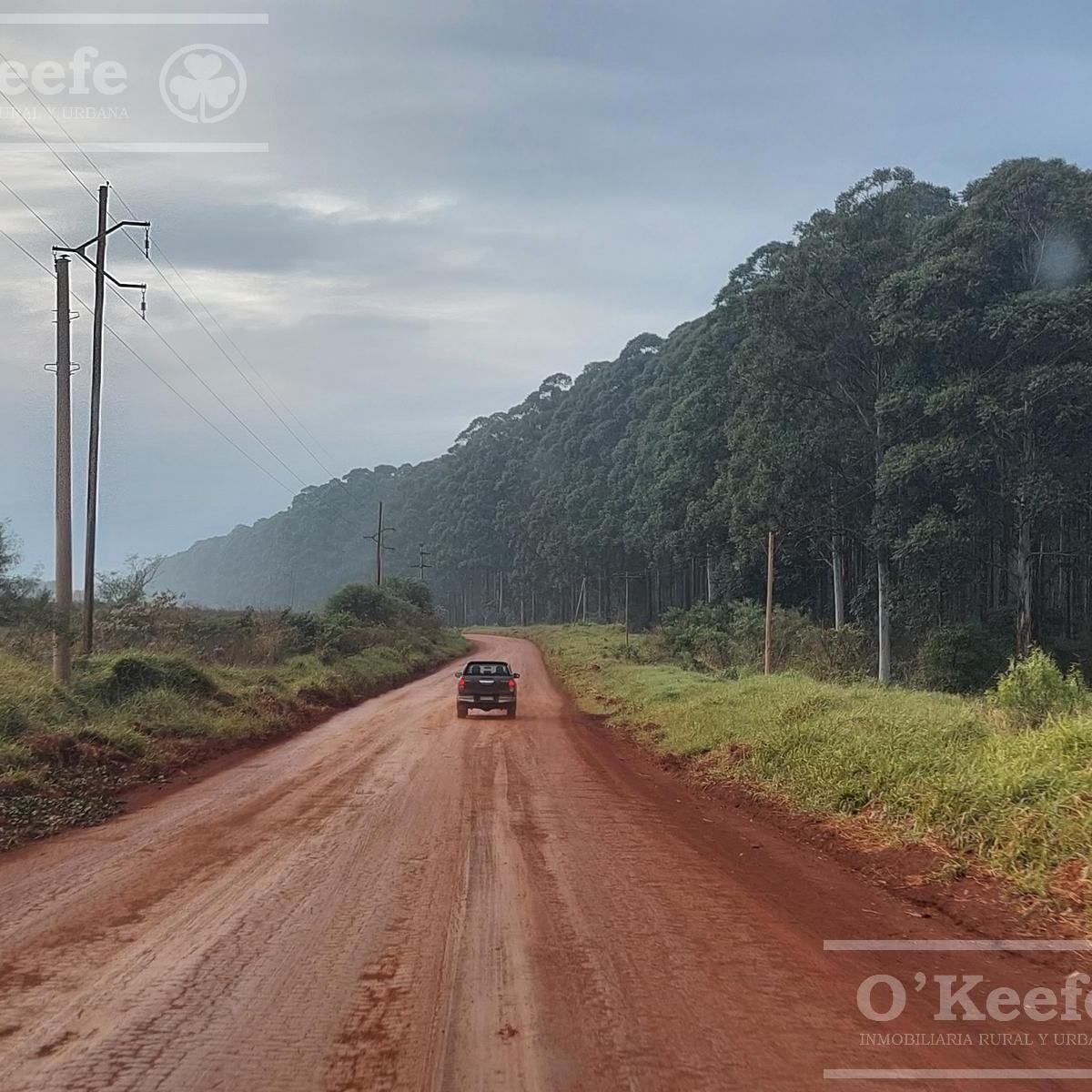 Campo en Venta de 561 Has en Virasoro, Corrientes 1