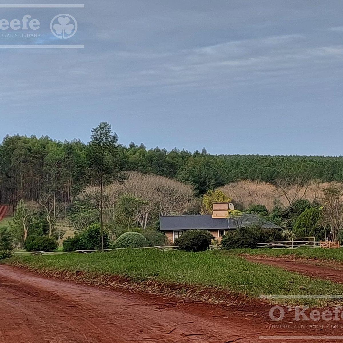 Campo en Venta de 561 Has en Virasoro, Corrientes 2
