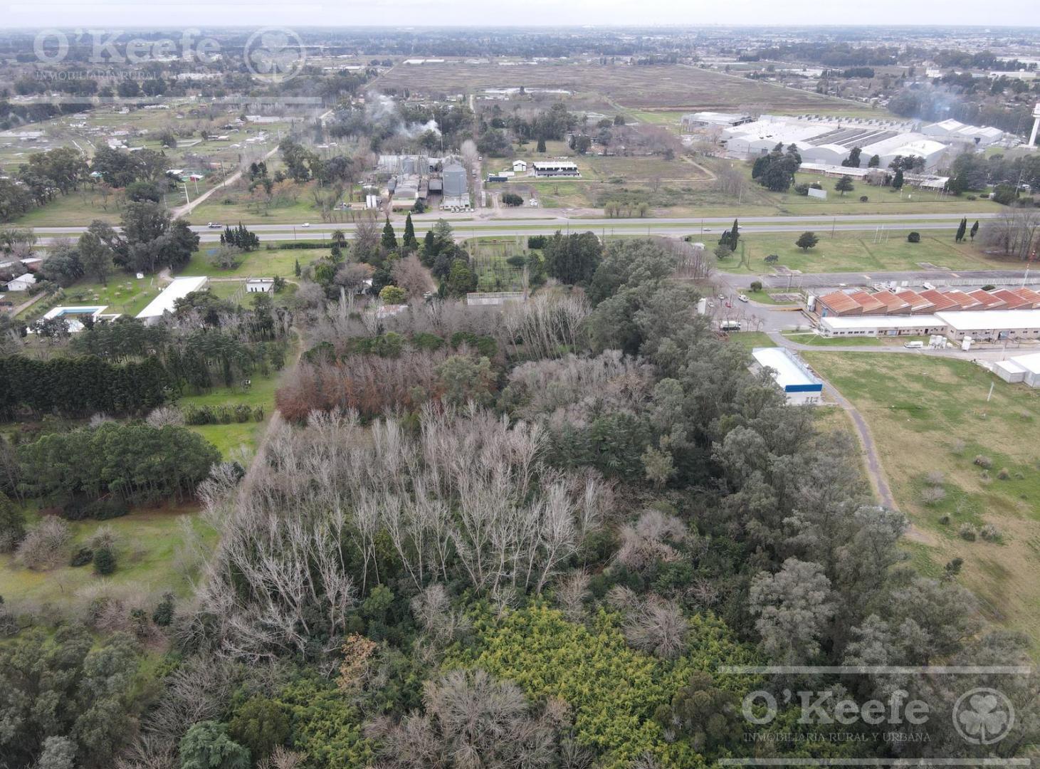 Chacra en venta 8,5 has Brandsen sobre Ruta 2 - Ideal Proyecto Inmobiliario