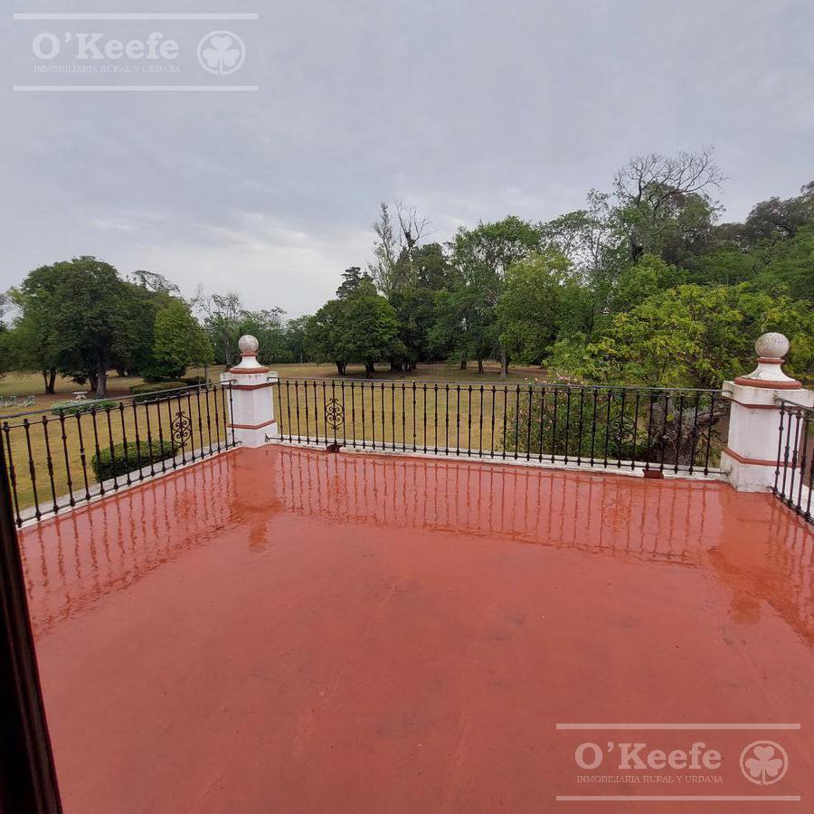 Campo en Venta de 80 Has en Gualeguay Entre Rios, Casco Histórico - Turismo Rural 4