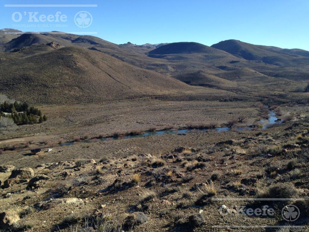 Campo en venta de 635 Has  Bariloche, costa del Pichileufu, Rio Negro.