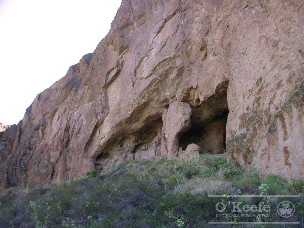 Campo en Venta de 635 Has Bariloche, Costa del Pichileufu, Rio Negro. 1