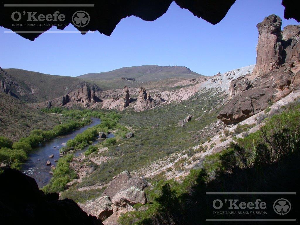 Campo en Venta de 635 Has Bariloche, Costa del Pichileufu, Rio Negro. 4