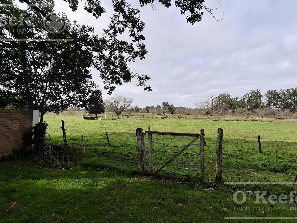 Lote en Venta en Barrio Cerrado Estancia San Juan Pereyra Iraola Hudson Berazategui 3