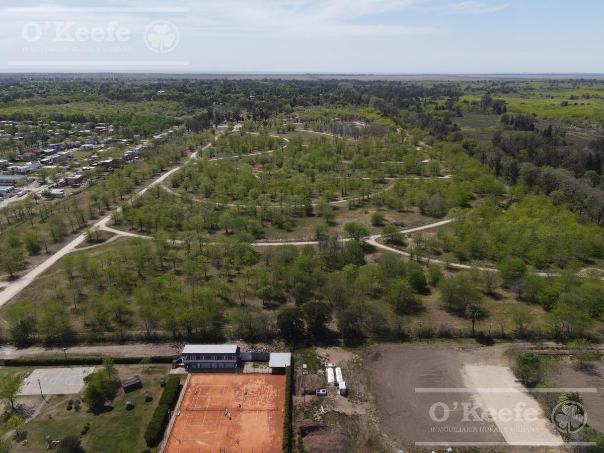 Terreno - Guillermo E Hudson 5