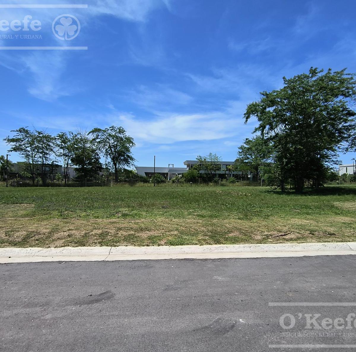 Excelente Lote en San Juan Chico, orientación norte, 601 m2 posesión inmediata