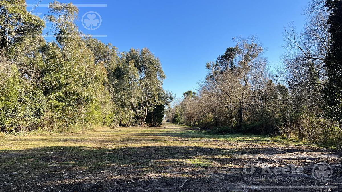 Lote en venta en Aires de Hudson, etapa 1. Con financiación. Hudson