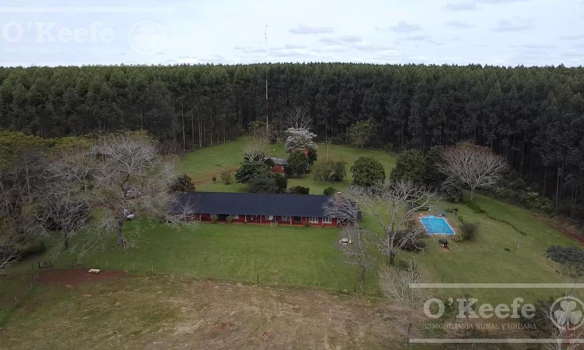 Campo en Venta de 1017 Has, Forestal Mixto 80 % Aprovechable, Virasoro Corrientes 3