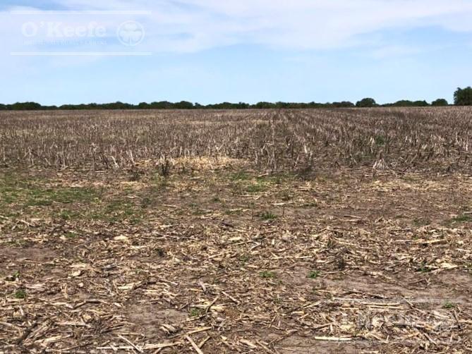 Campo en venta de 520 has mixtas en Entre Rios