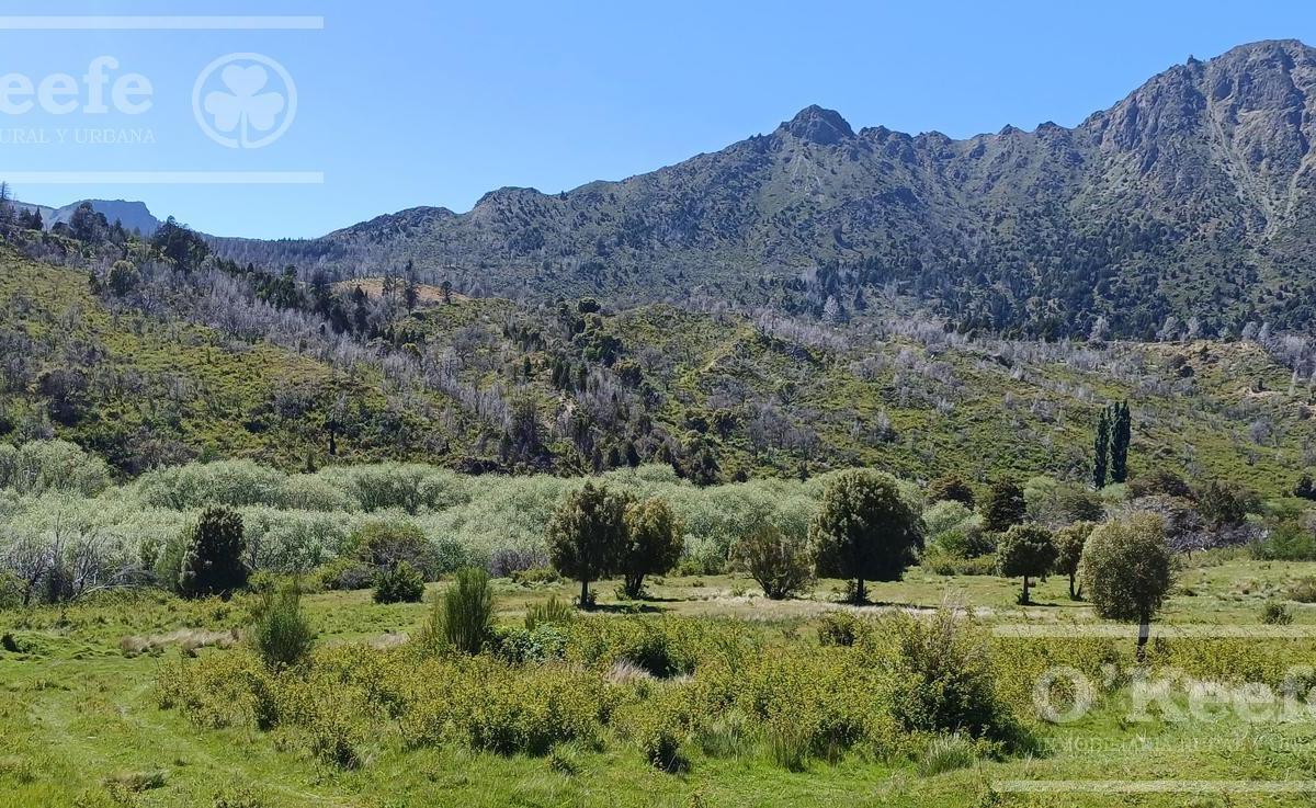 Campo en Venta 150 Has con Rio en Cuesta del Ternero, Rio Negro 5