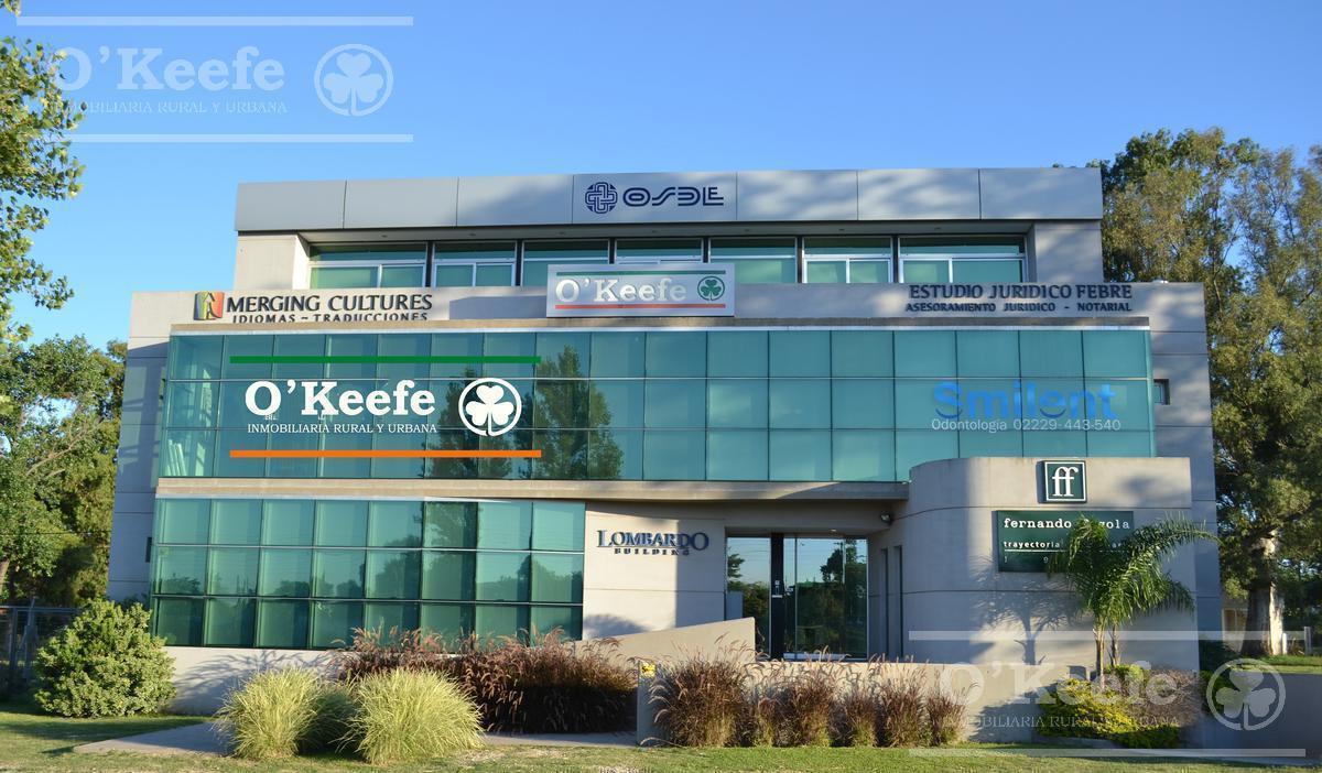 Depósito 1200 m² en Alquiler - Canning - Ezeiza 4