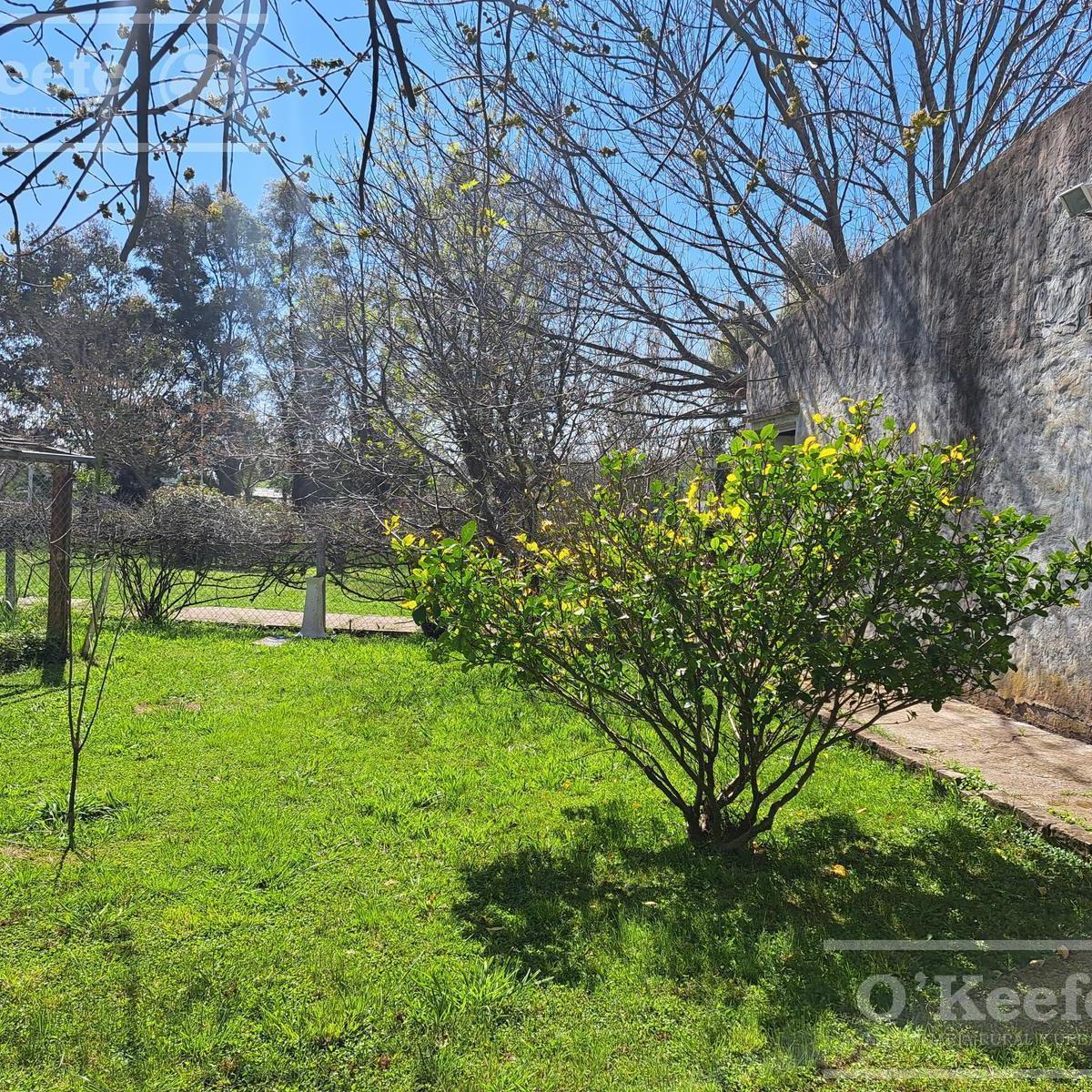 Casa Quinta en Venta, Brandsen - Ideal Granja, Emprendimiento! 2