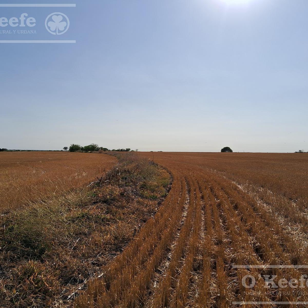 Campo en Venta 2500 has Entre Rios