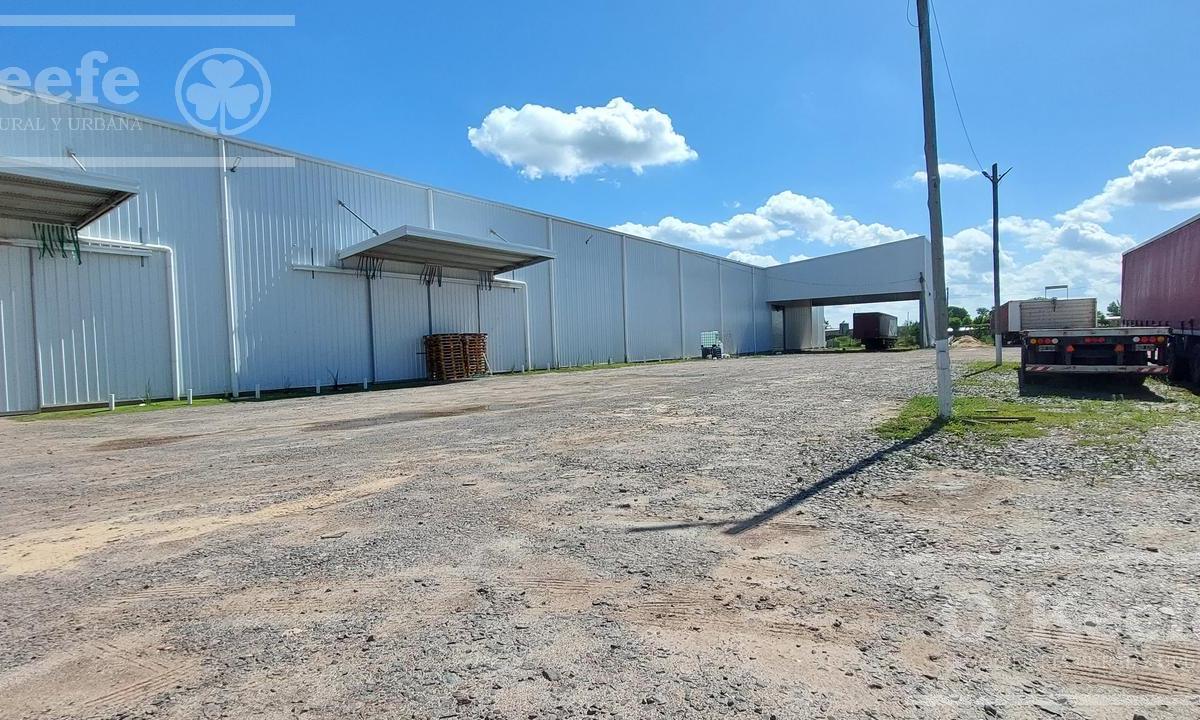 Alquiler Deposito 2600 m² - Ruta 2 - Gba Sur - La Plata - Ideal Logistica. 2