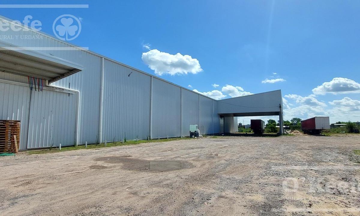 Alquiler Deposito 2600 m² - Ruta 2 - Gba Sur - La Plata - Ideal Logistica. 3