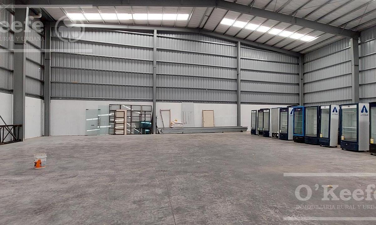 ALQUILER DEPOSITO 2600M2 - RUTA 2 - GBA SUR - LA PLATA - IDEAL LOGISTICA.