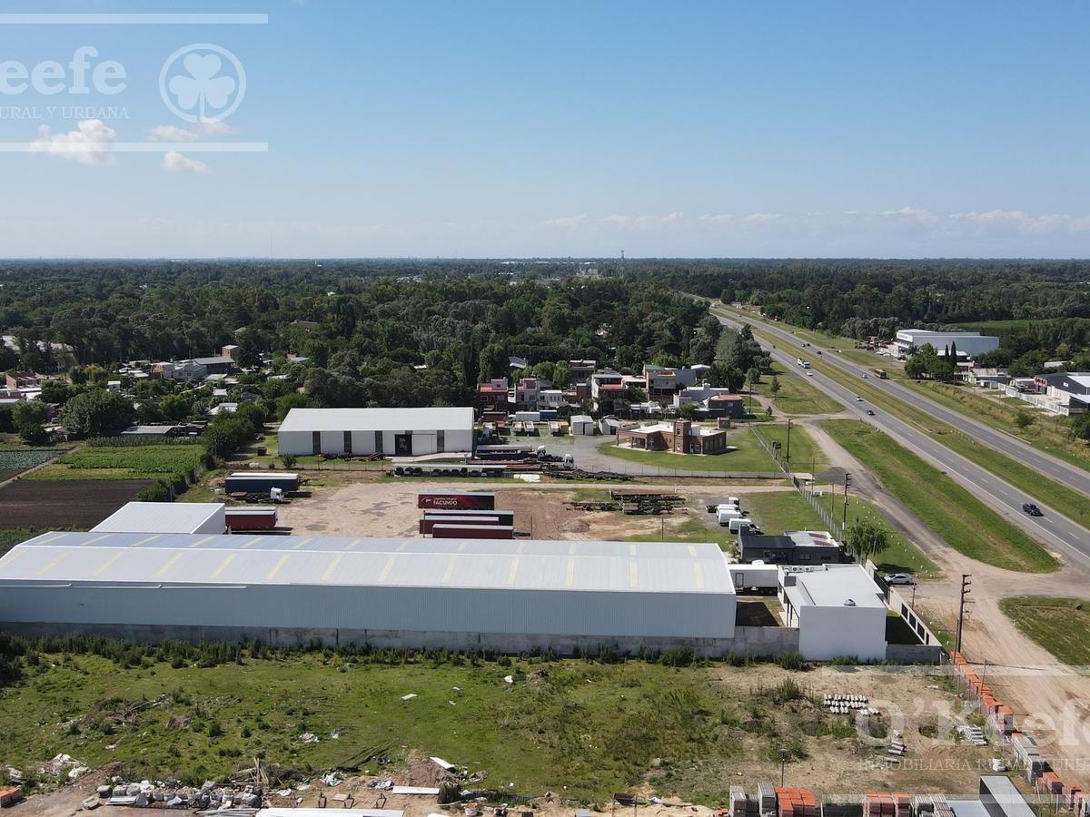 Alquiler Deposito 2600 m² - Ruta 2 - Gba Sur - La Plata - Ideal Logistica. 4