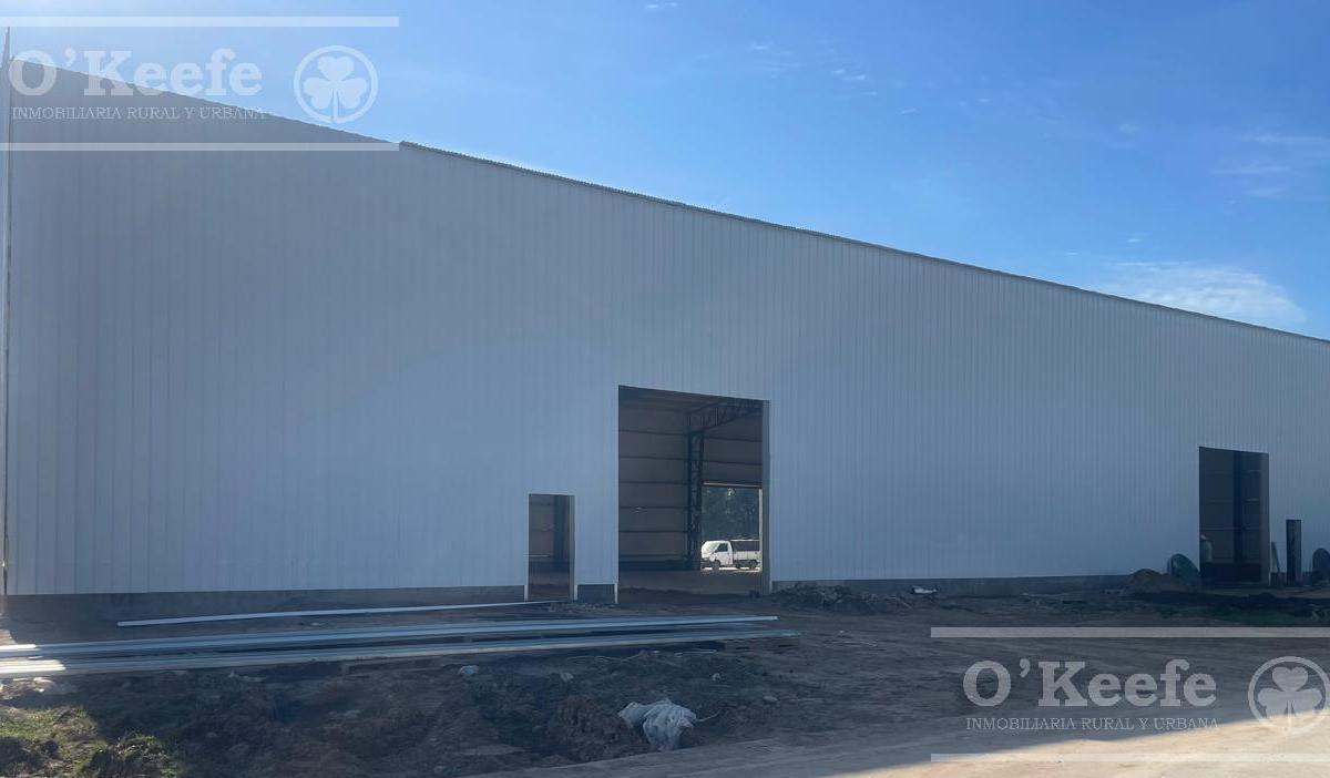 Depósito 1200 m² en Alquiler - Canning - Ezeiza 3