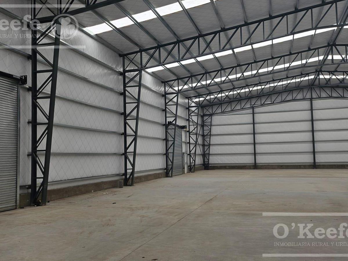 Galpon 600 m² en Alquiler - Canning - Ezeiza 1