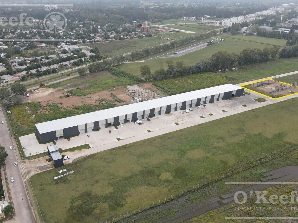 Galpon 600 m² en Alquiler - Canning - Ezeiza 3
