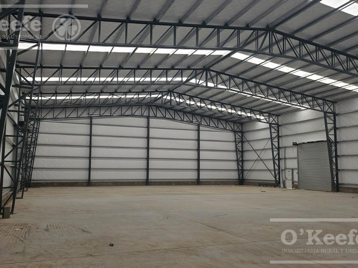 Galpon 600 m² en Alquiler - Canning - Ezeiza 4