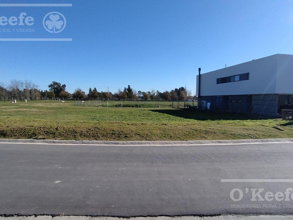 Excelente Lote con fondo a Laguna en San Juan Chico con posesion inmediata