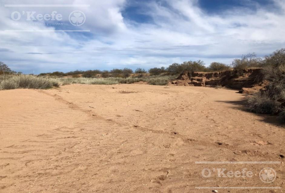 Campo en venta de 2785 has en Neuquen
