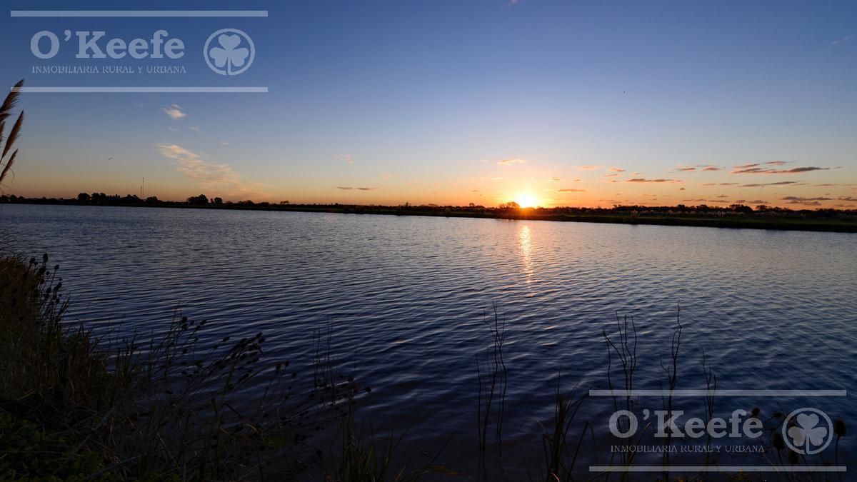 Lote en venta en Puerto Nizuc - Oportunidad de inversión en Guillermo Hudson