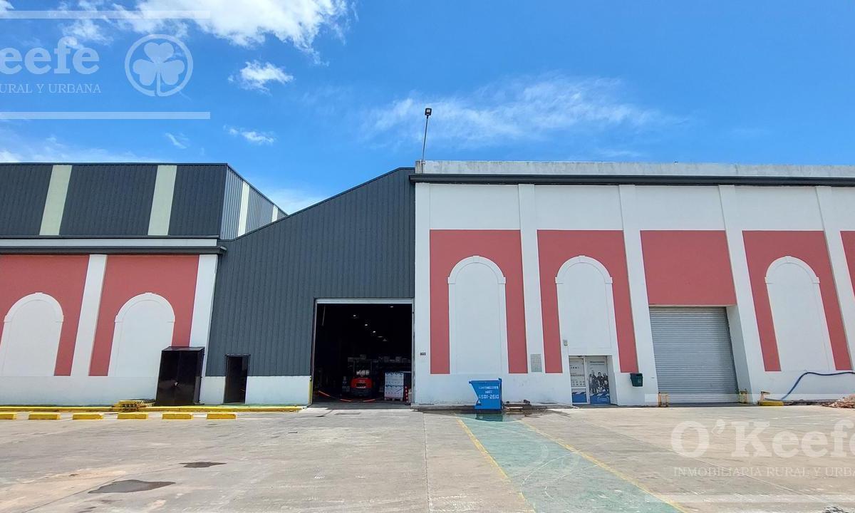 Alquiler | Naves Industriales - Desde 400 a 5000 m² - Bernal - Quilmes 4