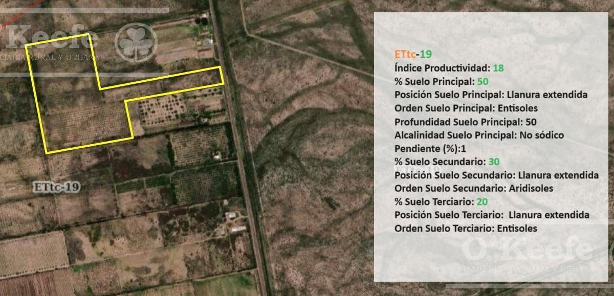 Oportunidad Venta de 2 Fincas Aledañas en Cañada Seca, San Rafael, Mendoza. Frutihorticola, Forra 1